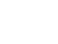 Přehrát video